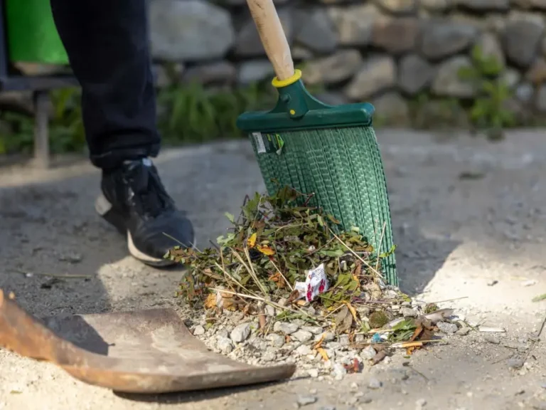 A gloved hand holding raked garden debris