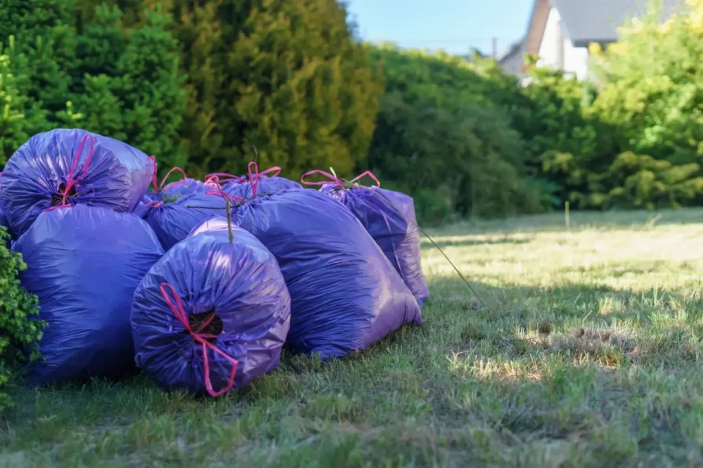 Bags of yard waste lined up on a mown lawn
